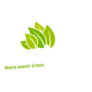 Coudekerque-Branche